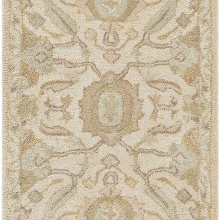 Carrolltown Area Rug Rugs TriadCommerceInc 2' x 3' Rectangle