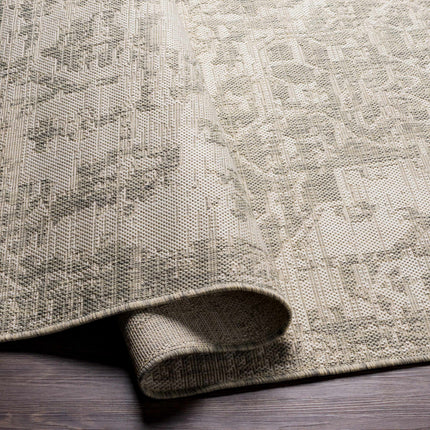 Beige Kilmacolm Outdoor Rug Rugs TriadCommerceInc