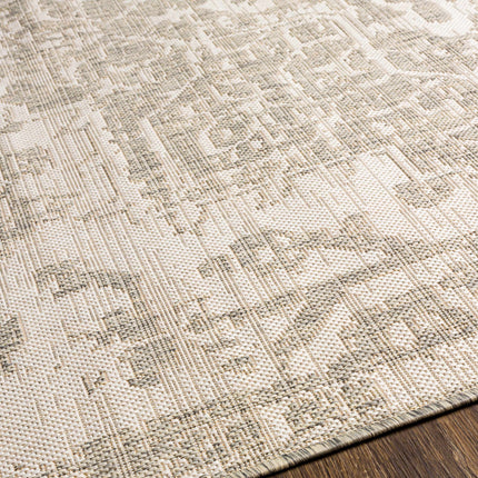 Beige Kilmacolm Outdoor Rug Rugs TriadCommerceInc