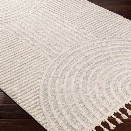 Dauin 3D Rainbow Area Rug with Tassels Rugs TriadCommerceInc 5'3" x 7' Rectangle