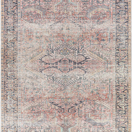 Pink Dunshaughlin Distressed Washable Area Rug - Clearance Rugs TriadCommerceInc 7'6" x 9'6" Rectangle