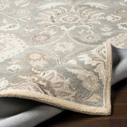 Conesus 1195 Hand Tufted Ivory & Taupe Wool Rug Rugs TriadCommerceInc