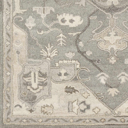 Broomfield 1196 Hand Tufted Taupe Wool Rug Rugs TriadCommerceInc