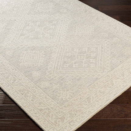 Paloma Area Rug Rugs TriadCommerceInc