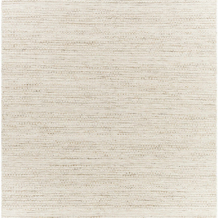 Moshe Area Rug Rugs TriadCommerceInc 8'10" x 12' Rectangle