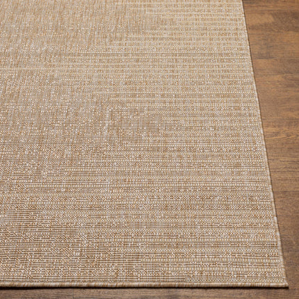 Stephan Dark Beige Outdoor Rug Rugs TriadCommerceInc