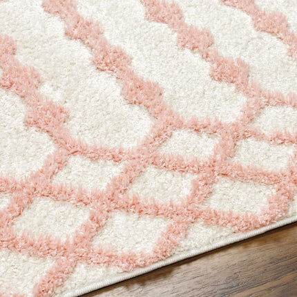 Darva Pink Plush Area Carpet Rugs TriadCommerceInc