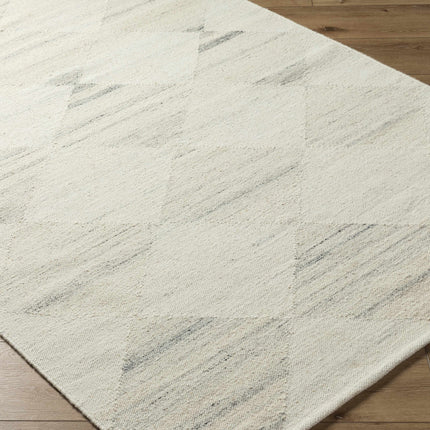 Rakin Area Rug Rugs TriadCommerceInc