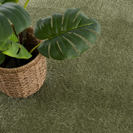 Heavenly Solid Green Plush Rug - Clearance Rugs TriadCommerceInc