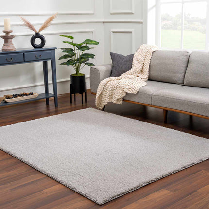 Heavenly Solid Light Gray Plush Rug - Clearance Rugs TriadCommerceInc 2' x 3' Rectangle