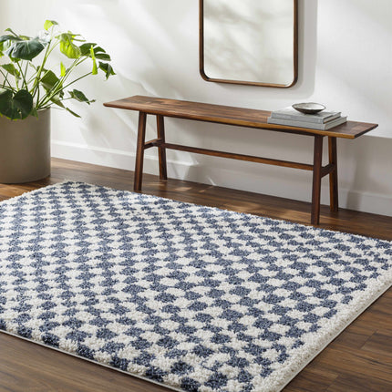 Kieu Blue & White Checkered Area Rug Rugs TriadCommerceInc 5'3" x 7' Rectangle