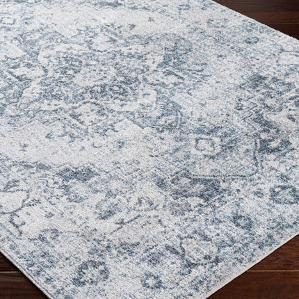 Ankti Aqua Washable Area Rug Rugs TriadCommerceInc