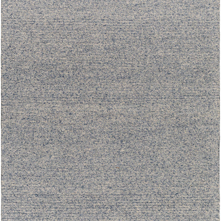 Alyra Light Blue Solid Wool Rug Rugs TriadCommerceInc 5' x 7'6" Rectangle