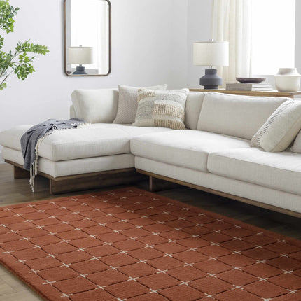 Sanvi Wool Area Rug Rugs TriadCommerceInc