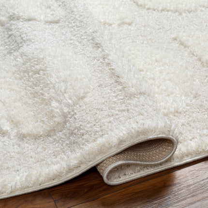 Dason Cream Area Rug - Clearance Rugs TriadCommerceInc