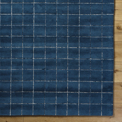 Toshi Blue Area Rug Rugs TriadCommerceInc