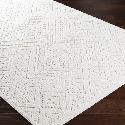 Trigg 3D Outdoor Area Rug Rugs TriadCommerceInc