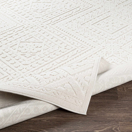 Trigg 3D Outdoor Area Rug Rugs TriadCommerceInc