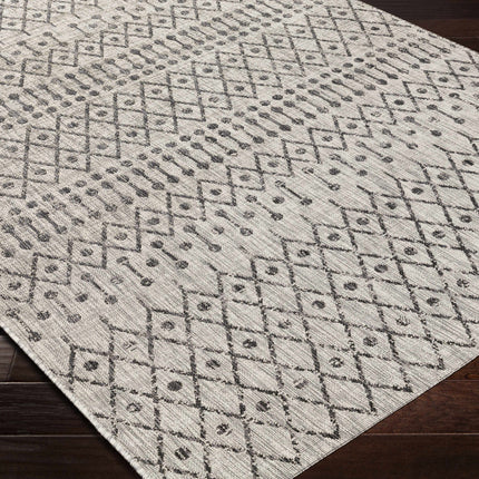 Wallkill Area Rug Rugs TriadCommerceInc