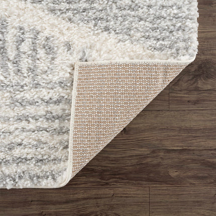 Trunding Plush Area Rug in Gray Rugs TriadCommerceInc