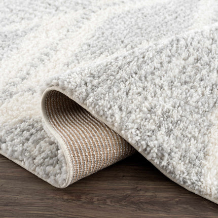 Trunding Plush Area Rug in Gray Rugs TriadCommerceInc