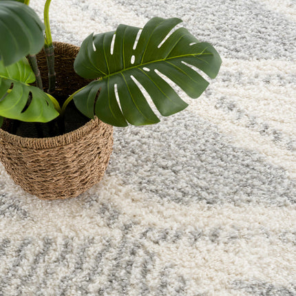 Trunding Plush Area Rug in Gray Rugs TriadCommerceInc