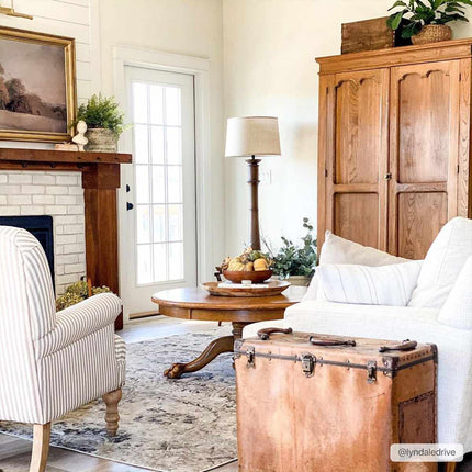Georgiana Area Rug Rugs TriadCommerceInc