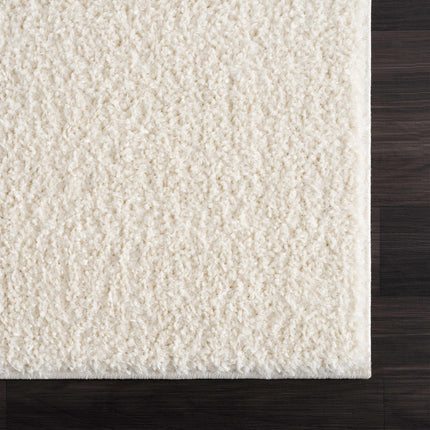 Judy White Washable Area Rug Rugs TriadCommerceInc * 2' x 3' Rectangle