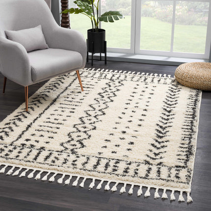 Hauppauge Berber Shag Carpet Rugs TriadCommerceInc