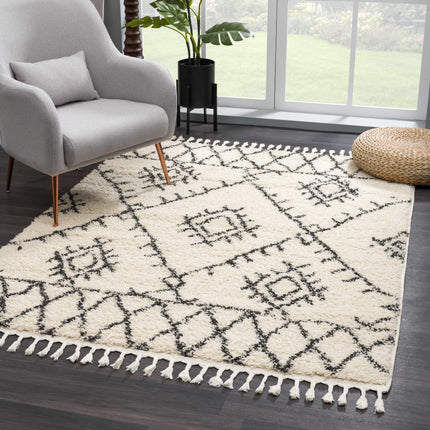 Emlenton Berber Shag with Tassels - Clearance Rugs TriadCommerceInc