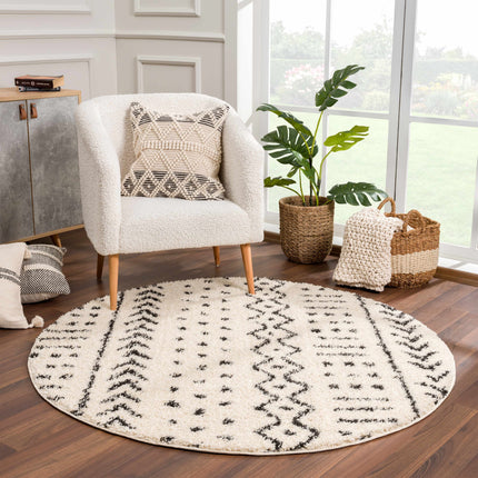 Hauppauge Berber Shag Carpet Rugs TriadCommerceInc