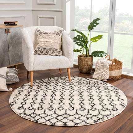 Muni Berber Shag Rug - Clearance Rugs TriadCommerceInc