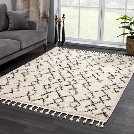 Pahala Moroccan Shag Rug - Clearance Rugs TriadCommerceInc 5'3" x 7'3" Rectangle