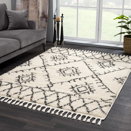 Emlenton Berber Shag with Tassels - Clearance Rugs TriadCommerceInc