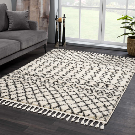 Muni Berber Shag Rug - Clearance Rugs TriadCommerceInc