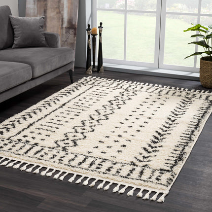 Hauppauge Berber Shag Carpet Rugs TriadCommerceInc