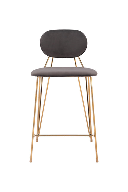 Georges Counter Stool (Set of 2) Gray & Gold Counter Stools TriadCommerceInc   
