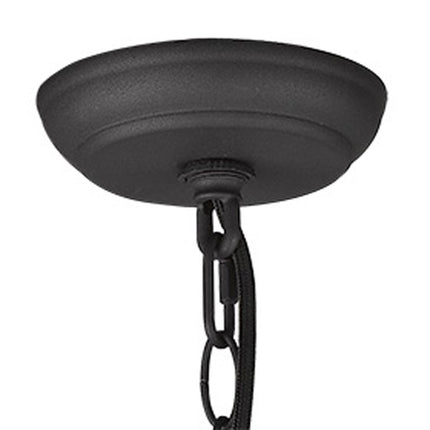 Faza 1-Light Matte Black Pendant Home Decor > Lighting > Ceiling Lights > Pendant Lights TriadCommerceInc