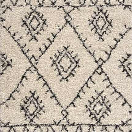Emlenton Berber Shag with Tassels - Clearance Rugs TriadCommerceInc