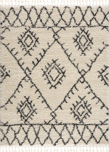 Emlenton Berber Shag with Tassels - Clearance Rugs TriadCommerceInc