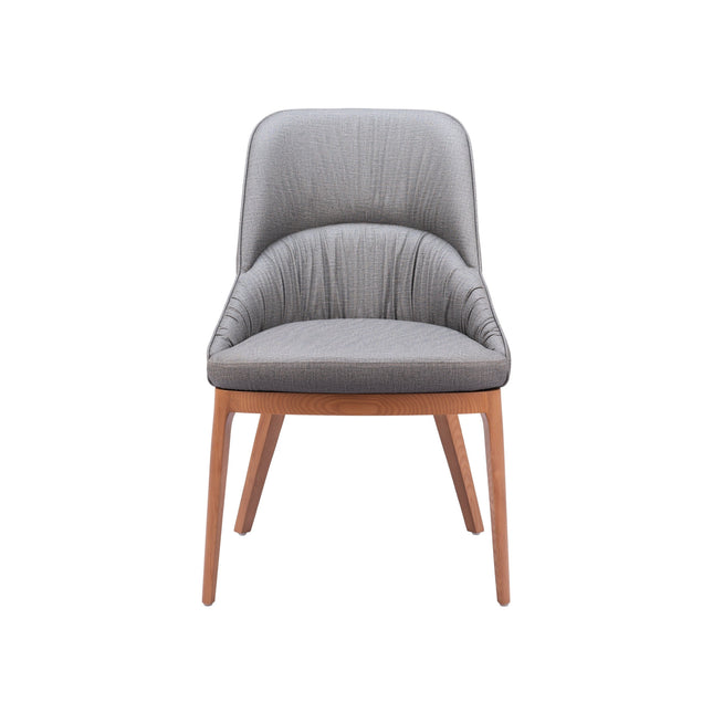 Ayr Dining Chair (Set of 2) Slate Gray Chairs TriadCommerceInc   