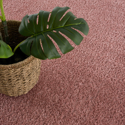 Judy Pink Washable Plush Rug - Clearance Rugs TriadCommerceInc