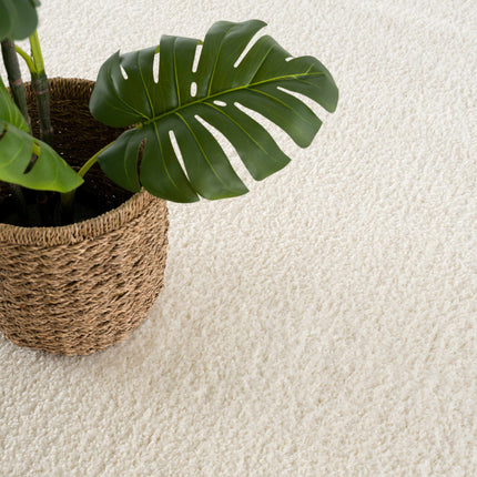 Judy White Washable Area Rug Rugs TriadCommerceInc
