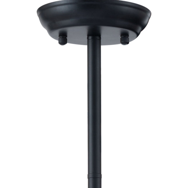Belfast Ceiling Lamp Black Pendants TriadCommerceInc