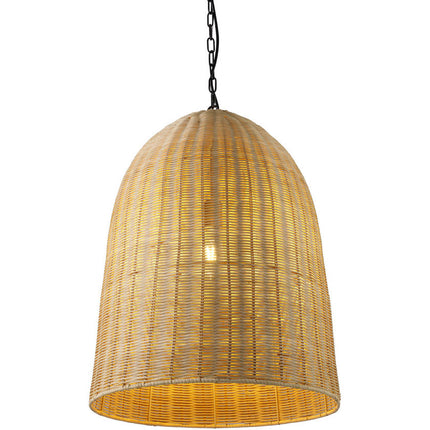 Allisha Pendant Light - Brown Home Decor > Lighting > Ceiling Lights > Pendant Lights TriadCommerceInc