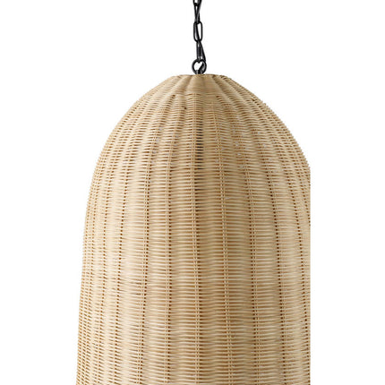 Allisha Pendant Light - Brown Home Decor > Lighting > Ceiling Lights > Pendant Lights TriadCommerceInc