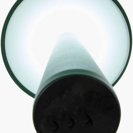Aleasha Traditional Green Table Lamp Home Decor > Lighting > Lamp > Table Lamps TriadCommerceInc