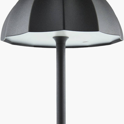 Fady Traditional Black Table Lamp Home Decor > Lighting > Lamp > Table Lamps TriadCommerceInc