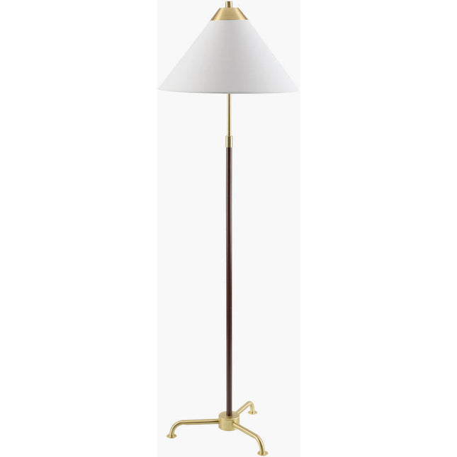 Rica Modern Brown/Gold Floor Lamp Home Decor > Lighting > Lamp > Floor Lamps TriadCommerceInc 62"H x 20"W x 20"D