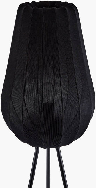 Angele Modern Black Floor Lamp Home Decor > Lighting > Lamp > Floor Lamps TriadCommerceInc